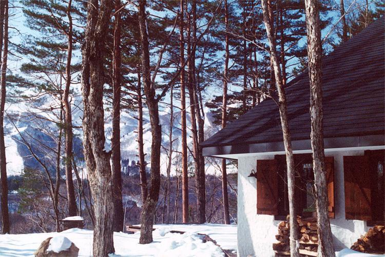 Earl Grey Otel Hakuba Dış mekan fotoğraf